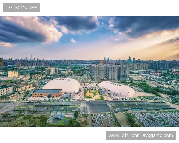 体育场馆运营综合治理实现社会效益与商业收益双赢